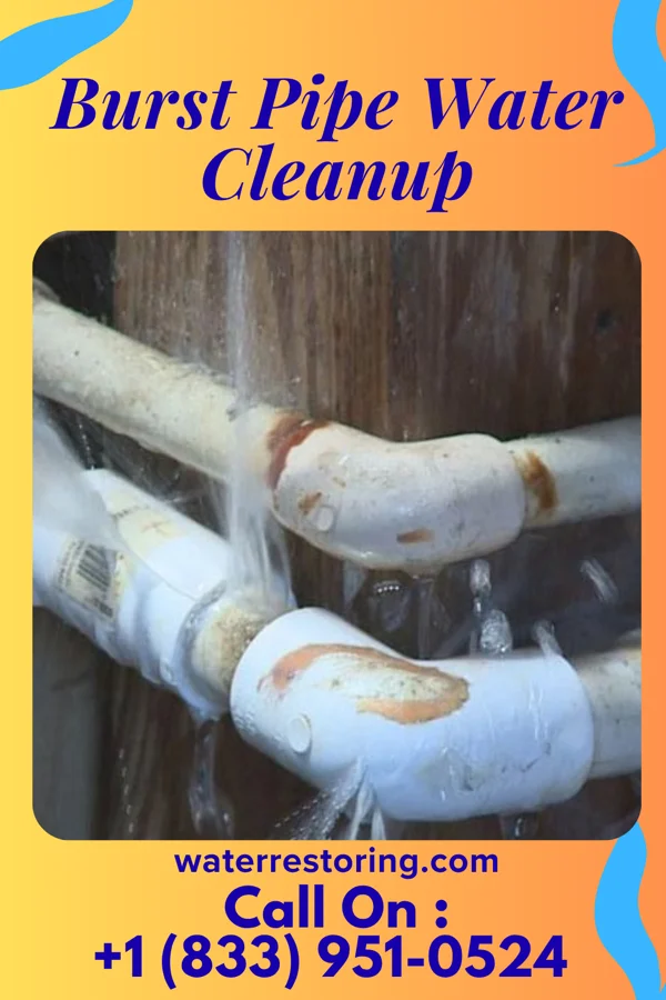 Burst Pipe Water Cleanup in De Kalb, MS
