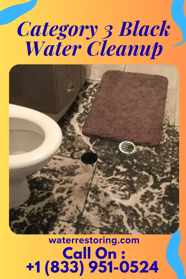 Category 3 Black Water Cleanup in De Kalb, MS