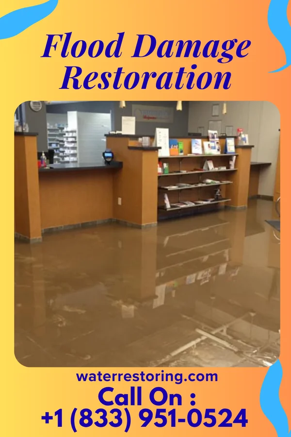 Flood Damage Restoration in De Kalb, MS