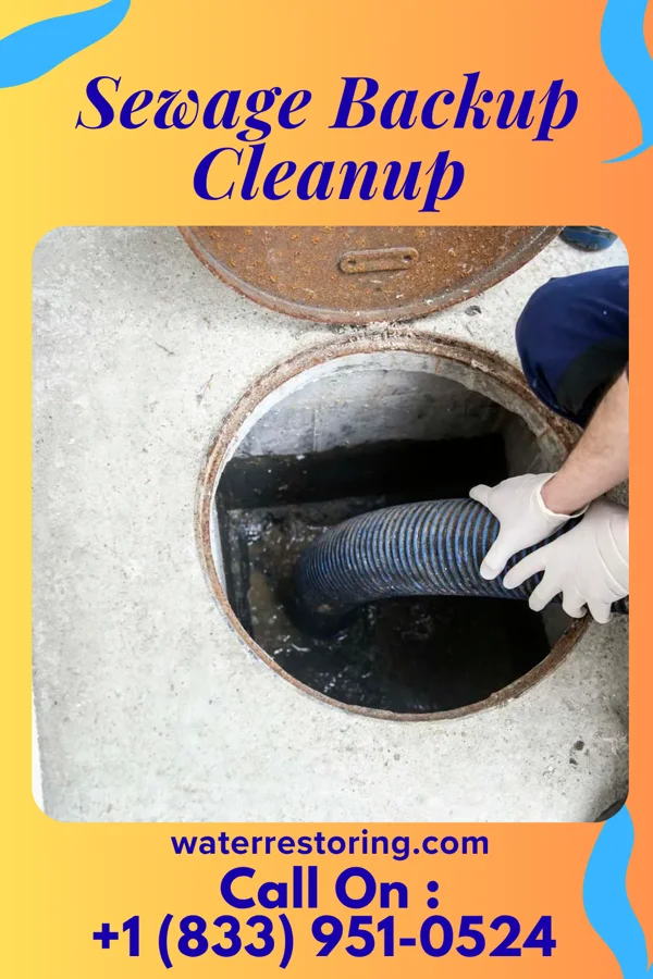 Sewage Backup Cleanup in De Kalb, MS